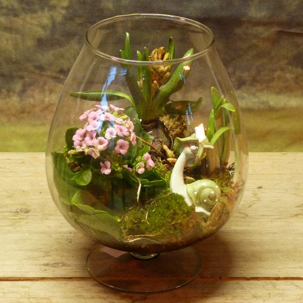 Glas Schwenker bepflanzt Bild 1
