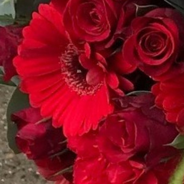 Blumenüberraschung "rot" Bild 1