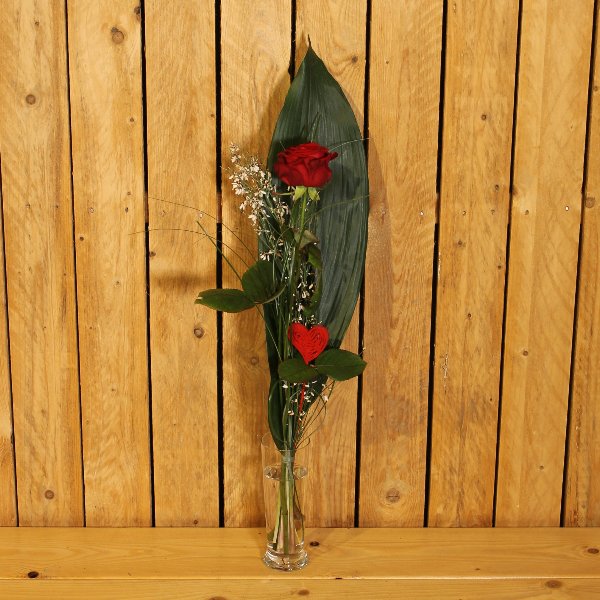 Valentins Rose Bild 1