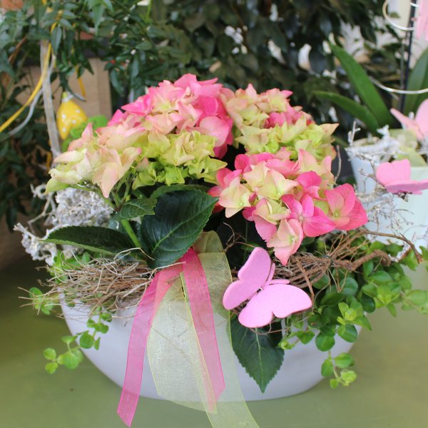 Pflanzschale mit rosa Hortensie Bild 1