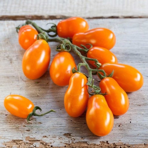 Pflaumen-Kirsch-Tomate Orange Bild 1