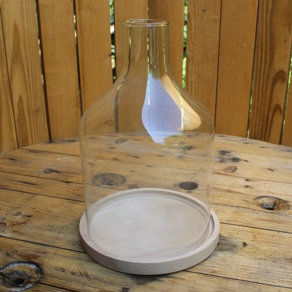 Glasflasche mit Holzuntersetzer Bild 1
